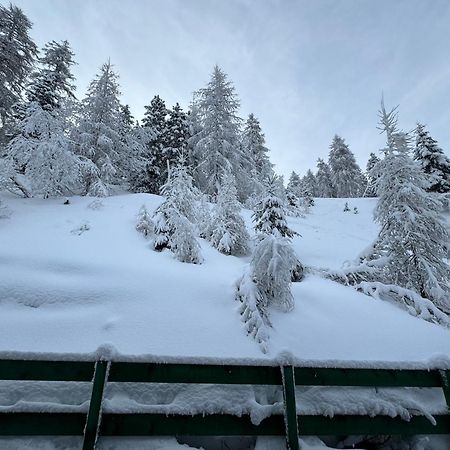 טזרו Ski Lodge Pampeago מראה חיצוני תמונה
