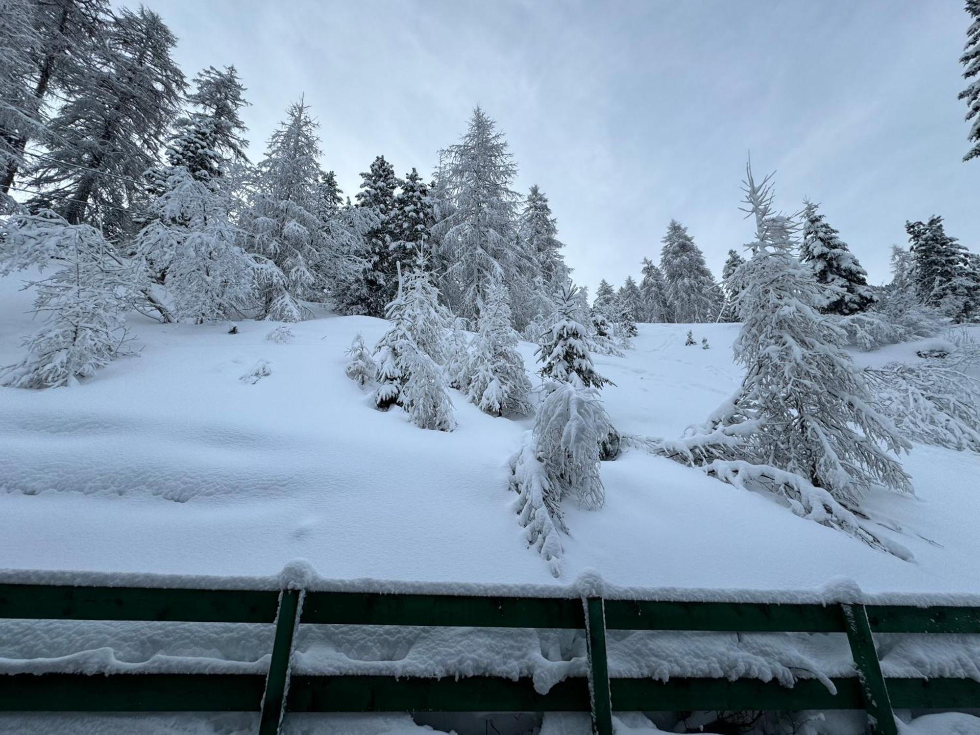 טזרו Ski Lodge Pampeago מראה חיצוני תמונה